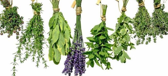 Medicinal plants that increase potency in men